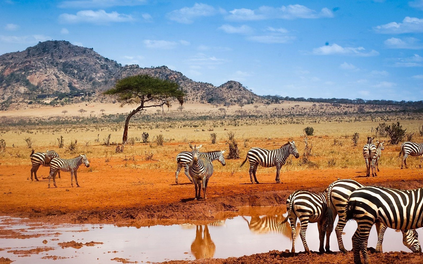 KENYA