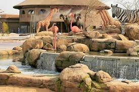 Desert Safari Park