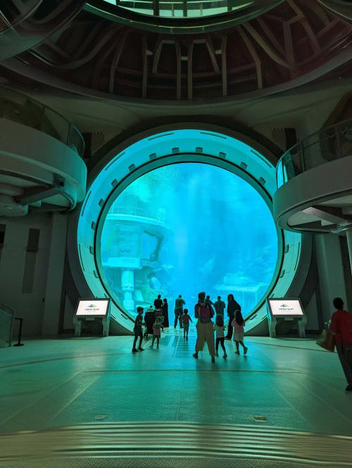 SeaWorld Abu Dhabi