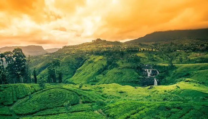 Srilanka